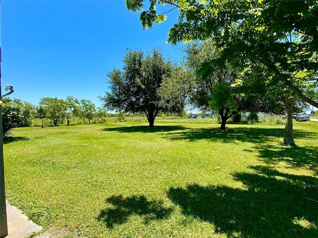 1228 Bahama Ln, Port Bolivar, TX 77650 - view of green lawn