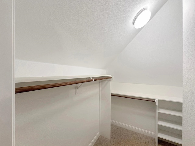 spacious closet featuring lofted ceiling