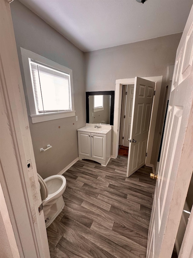 bathroom with wood-type flooring, vanity, and toilet