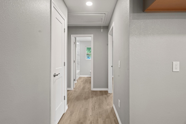 6425 Adams Blvd, Groves, TX 77619 - hall with attic access and light wood-type flooring