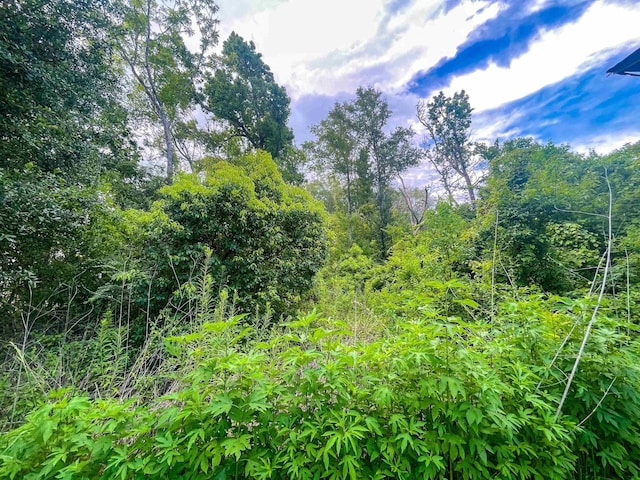 3832 W Park Ave, Orange, TX 77630 - view of nature