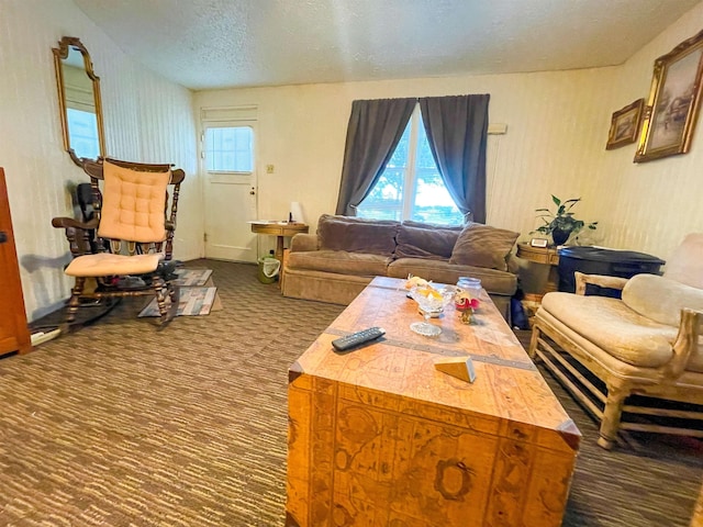 3832 W Park Ave, Orange, TX 77630 - carpeted living area with a textured ceiling