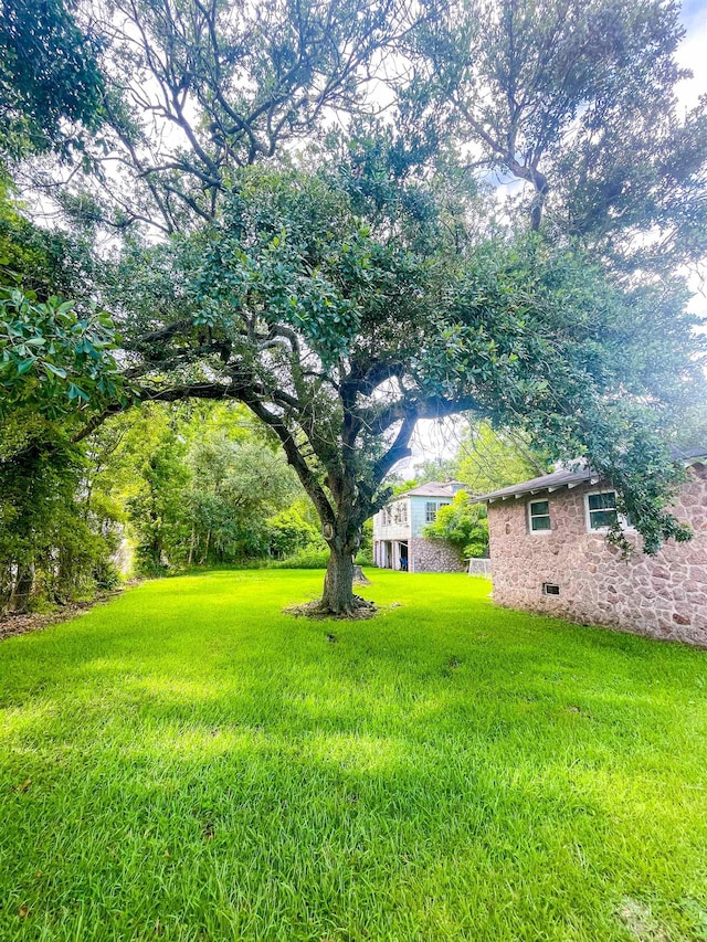 3832 W Park Ave, Orange, TX 77630 - view of grassy yard