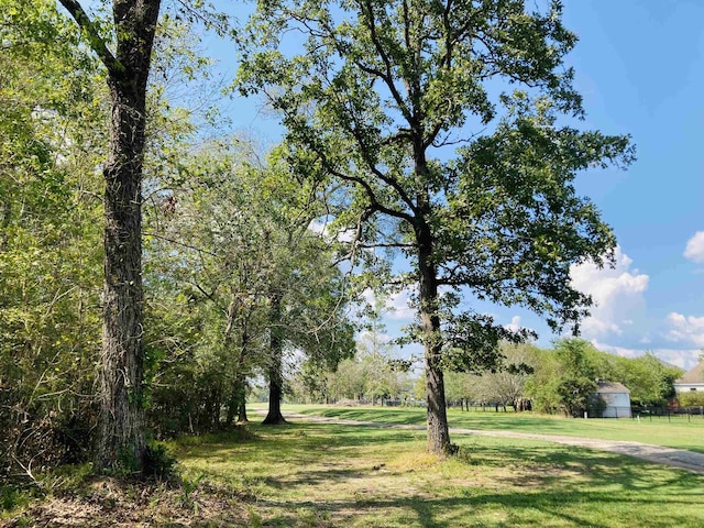 Listing photo 3 for LOT12 Lakeview Drive-, Sour Lake TX 77659