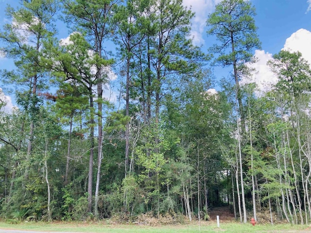 LOT12 Lakeview Drive-, Sour Lake TX, 77659 land for sale