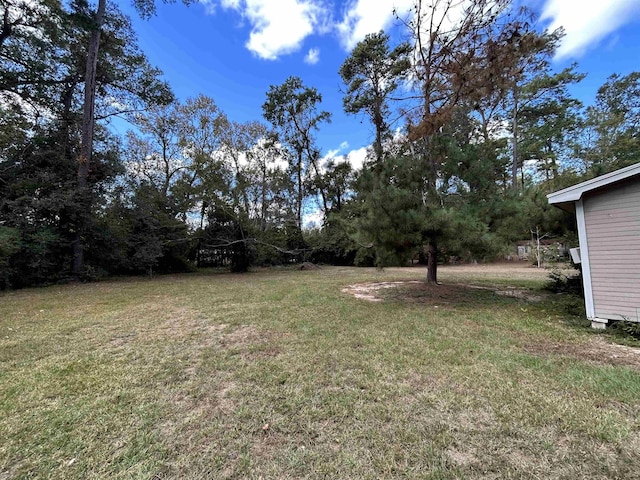 138 Ned Rd, Lumberton, TX 77657 - view of green lawn
