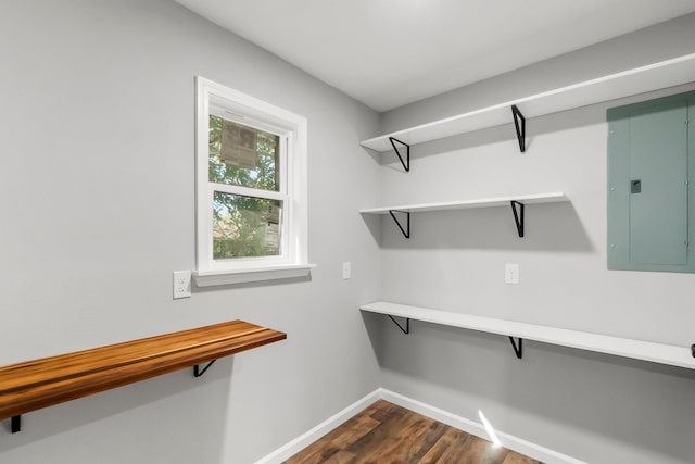 laundry area featuring electric panel and dark hardwood / wood-style floors