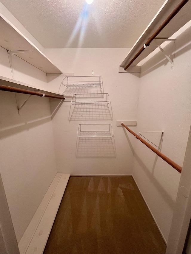 spacious closet with carpet