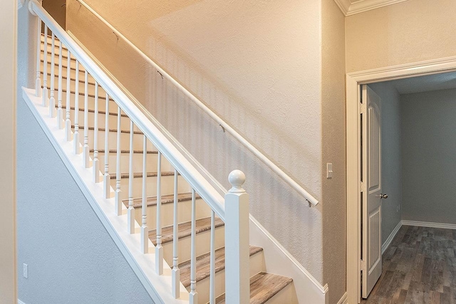 staircase featuring hardwood / wood-style floors