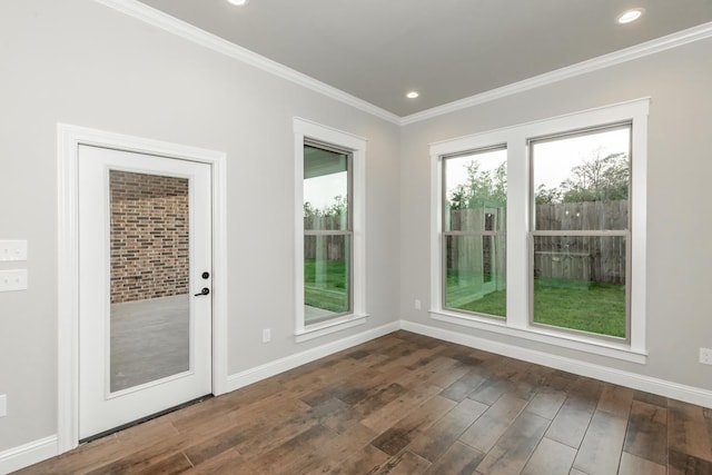 interior space featuring crown molding and dark hardwood / wood-style flooring