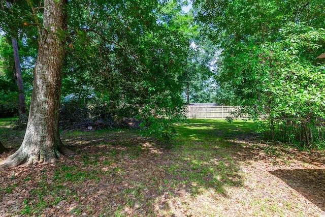 10754 Bonwell Loop, Kountze, TX 77625 - view of yard