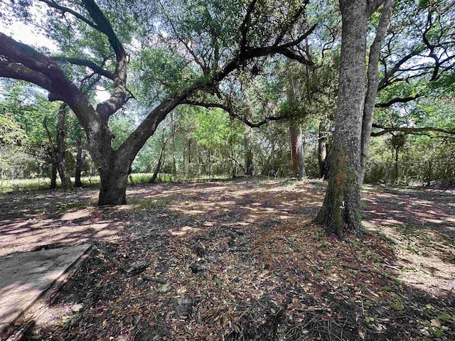 view of local wilderness featuring a view of trees
