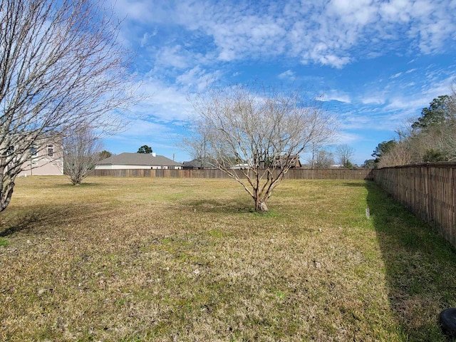 view of yard featuring a fenced backyard