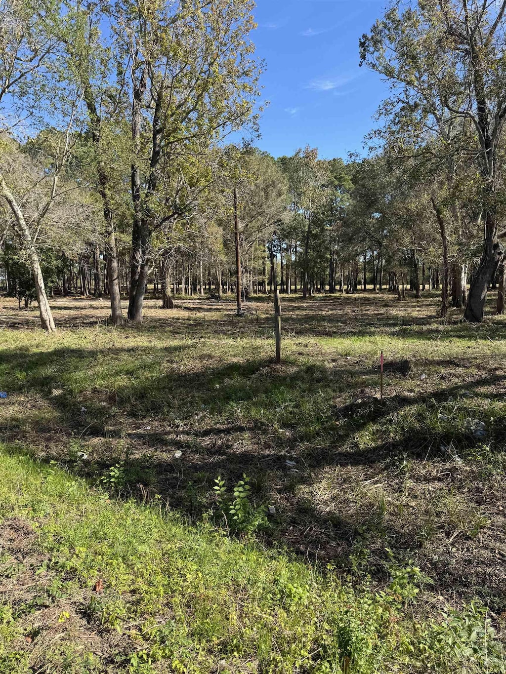 13205 S Fork Fork, Hamshire, TX 77622