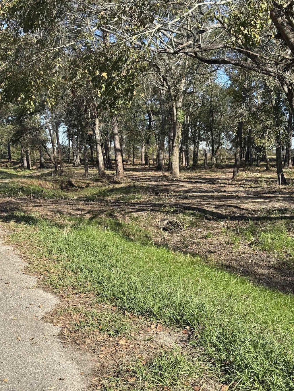 13205 S Fork Fork, Hamshire, TX 77622
