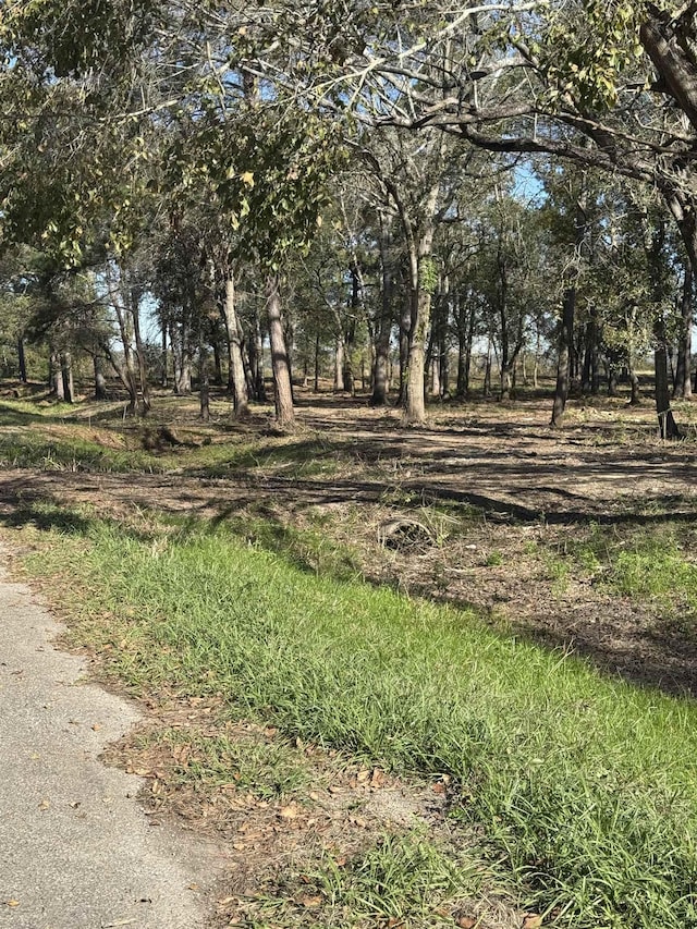 13205 S Fork Fork, Hamshire, TX 77622