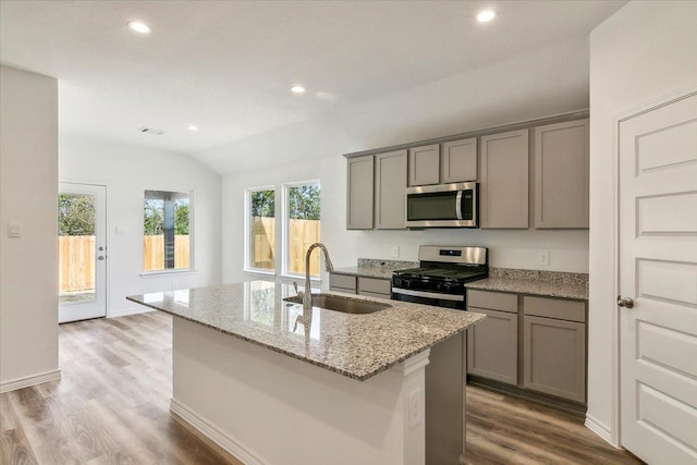 kitchen with appliances with stainless steel finishes, light stone counters, a wealth of natural light, sink, and an island with sink