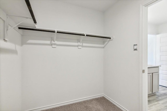 spacious closet with light colored carpet