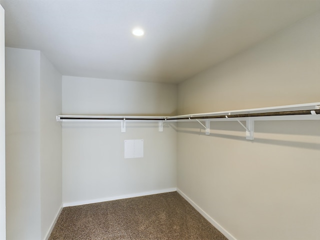 spacious closet with carpet flooring