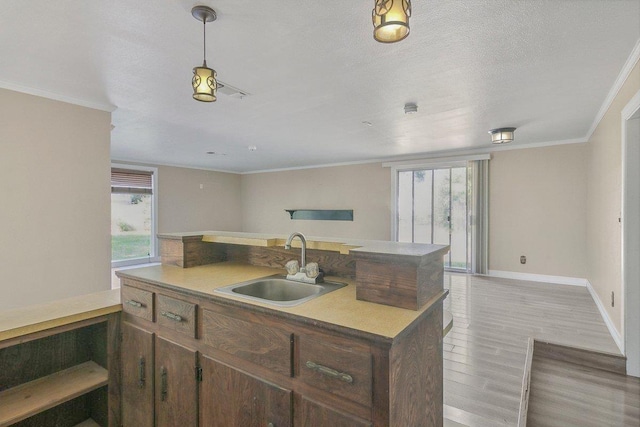 4438 W Edgar Ave, Orange, TX 77630 - kitchen featuring light wood finished floors, ornamental molding, open floor plan, a kitchen island with sink, and hanging light fixtures
