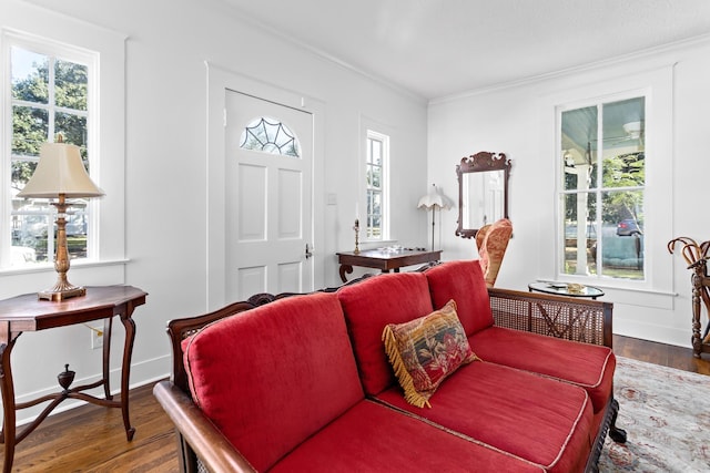 living room with ornamental molding, plenty of natural light, and dark wood-type flooring