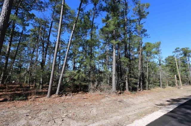 LOT55 Pleasant Cv, Brookeland TX, 75931 land for sale