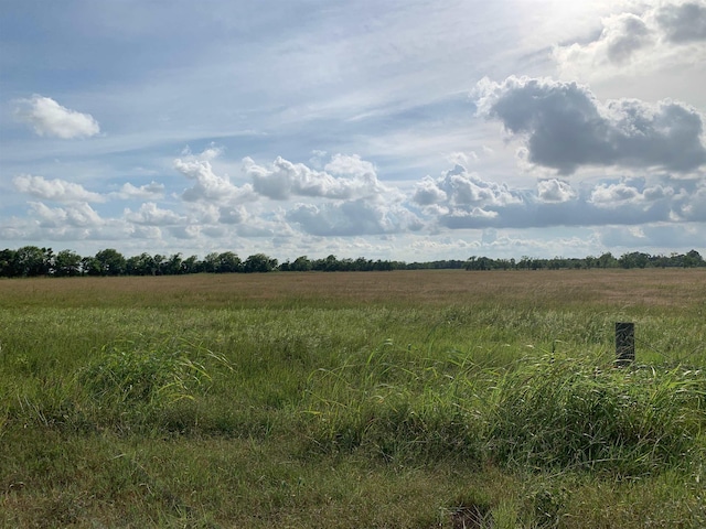 Pine Island Levey Rd, Beaumont TX, 77713 land for sale