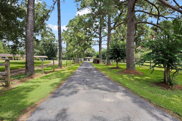 4169 Leatherwood Dr, Kountze, TX 77625 - view of asphalt driveway