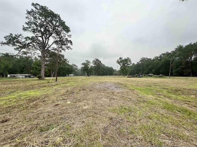 1445 S Main St, Vidor TX, 77662 land for sale