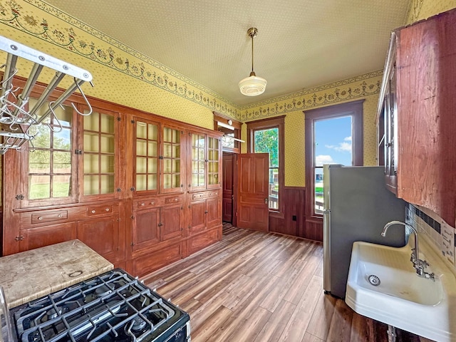 interior space featuring hardwood / wood-style floors, black stove, sink, stainless steel fridge, and decorative light fixtures