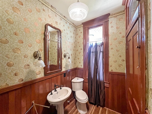 bathroom featuring hardwood / wood-style flooring, sink, and toilet