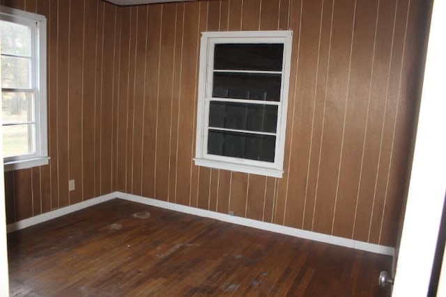 empty room with a healthy amount of sunlight and wooden walls