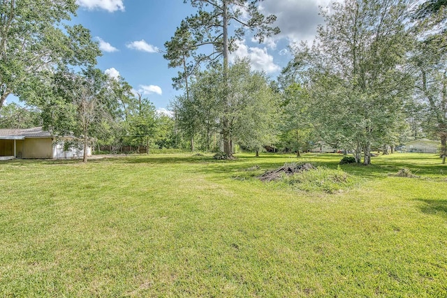 246 Pinevale Way, Sour Lake, TX 77659 - view of grassy yard