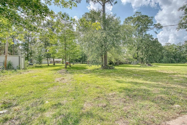 246 Pinevale Way, Sour Lake, TX 77659 - view of green lawn