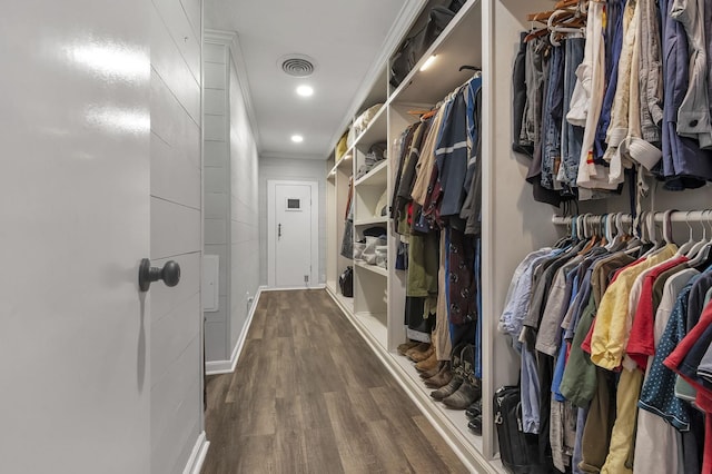 walk in closet with wood-type flooring