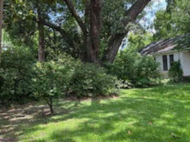 825 Llano St, Port Neches, TX 77651 - photo 15