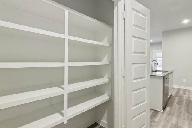 pantry with sink