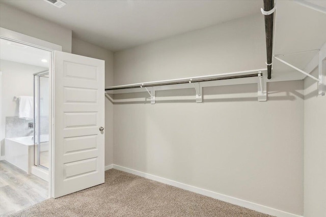 spacious closet featuring carpet flooring