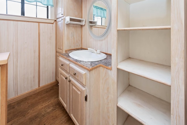 bathroom featuring wood finished floors and vanity