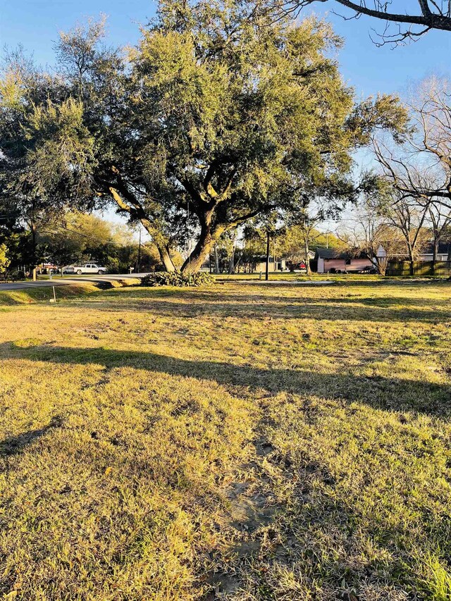104 Sycamore St, Port Neches, TX 77651 - photo 1