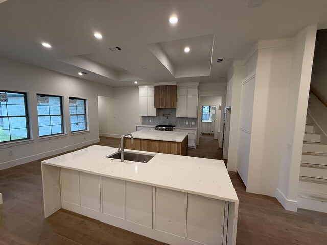 3547 Lily Ln, Beaumont, TX 77713 - kitchen featuring a sink, a large island, a tray ceiling, tasteful backsplash, and dark wood-type flooring