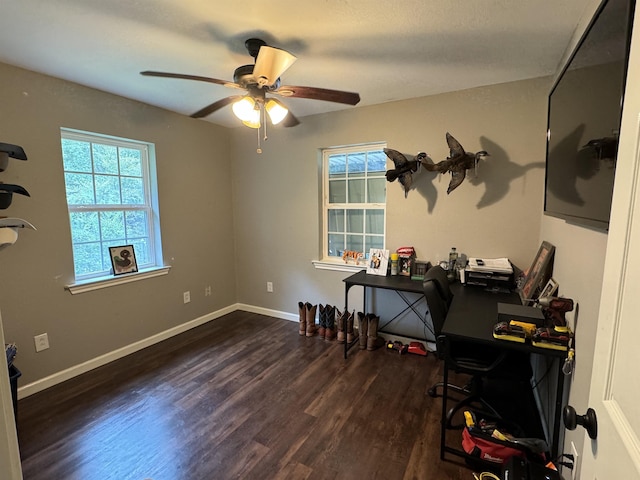 office with dark hardwood / wood-style floors and ceiling fan