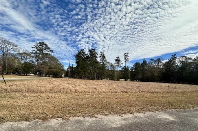 000 Water Oak Dr, Village Mills TX, 77663 land for sale