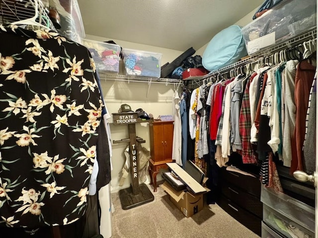 22043 Rocky Reserve Dr, Northwest Harris, TX 77447 - spacious closet featuring carpet flooring