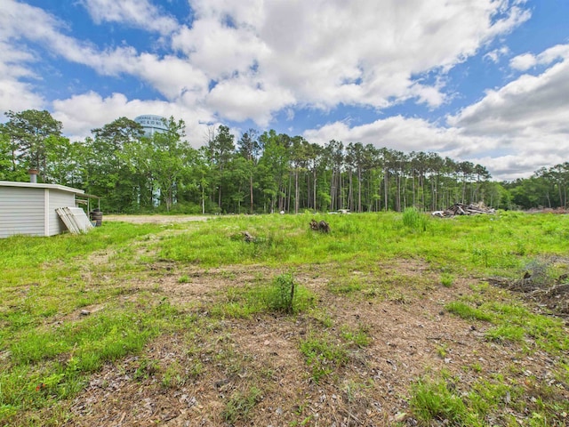 1325 S Main St, Vidor, TX 77662 - view of yard