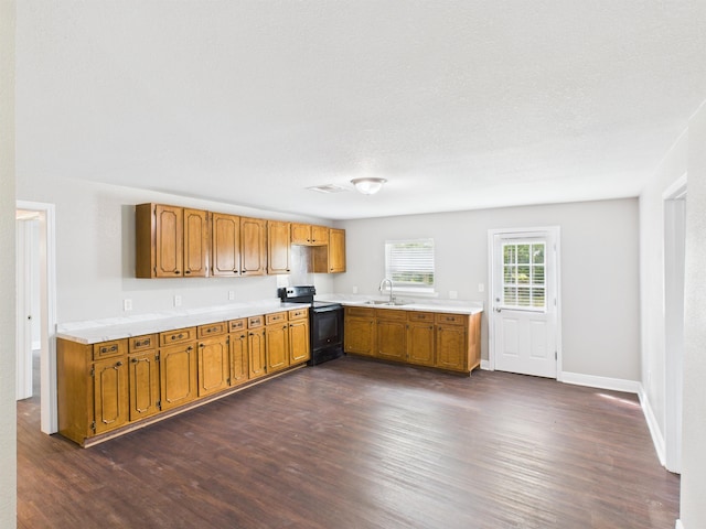 1325 S Main St, Vidor, TX 77662 - kitchen featuring dark wood-style floors, a sink, black electric range, brown cabinetry, and light countertops