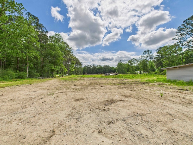 1325 S Main St, Vidor, TX 77662 - view of yard