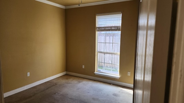 empty room featuring crown molding and carpet