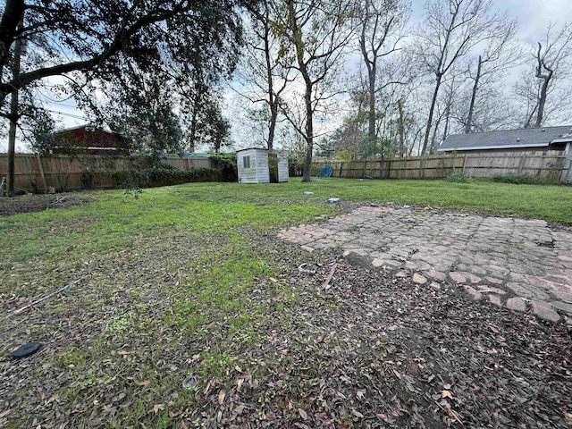 view of yard with a shed