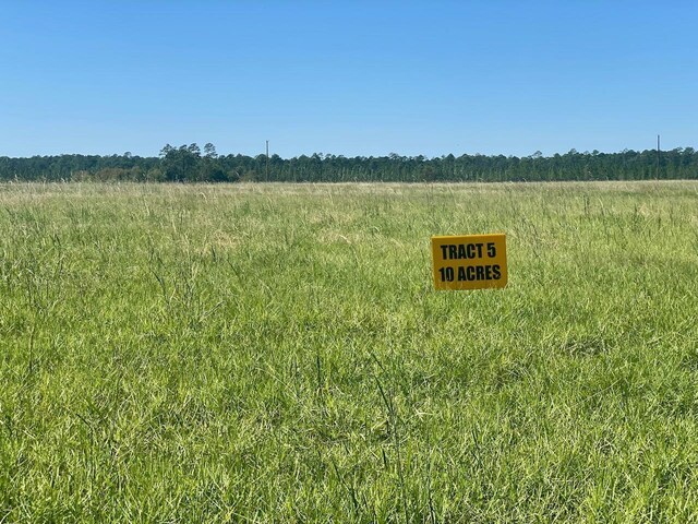 6371 Burrell Trl, Kountze, TX 77625 - photo 8